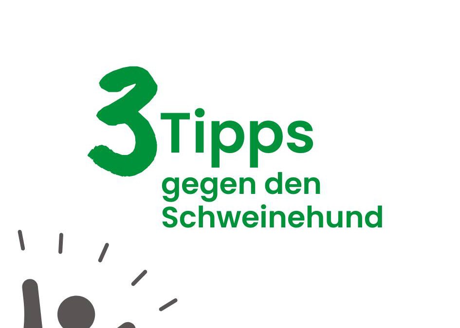 3 Tipps gegen den Schweinehund